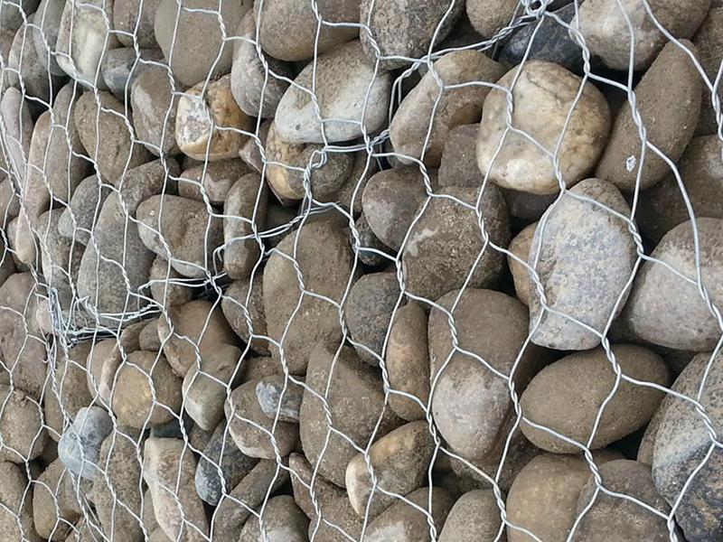 䓽z���e�W(w��ng)