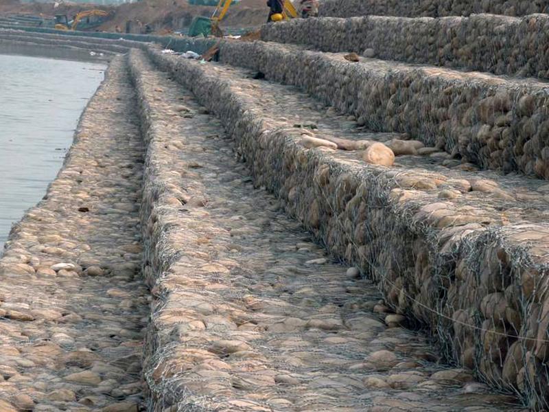 �ӵ̸��e�W(w��ng)